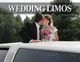 Wedding Limos